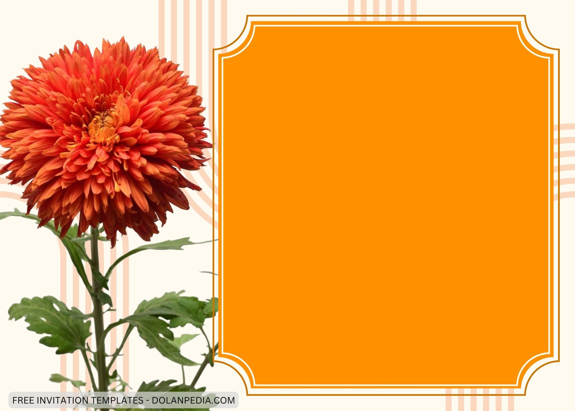 Blank Orange Chrysantemum Baby Shower Invitation Templates Five