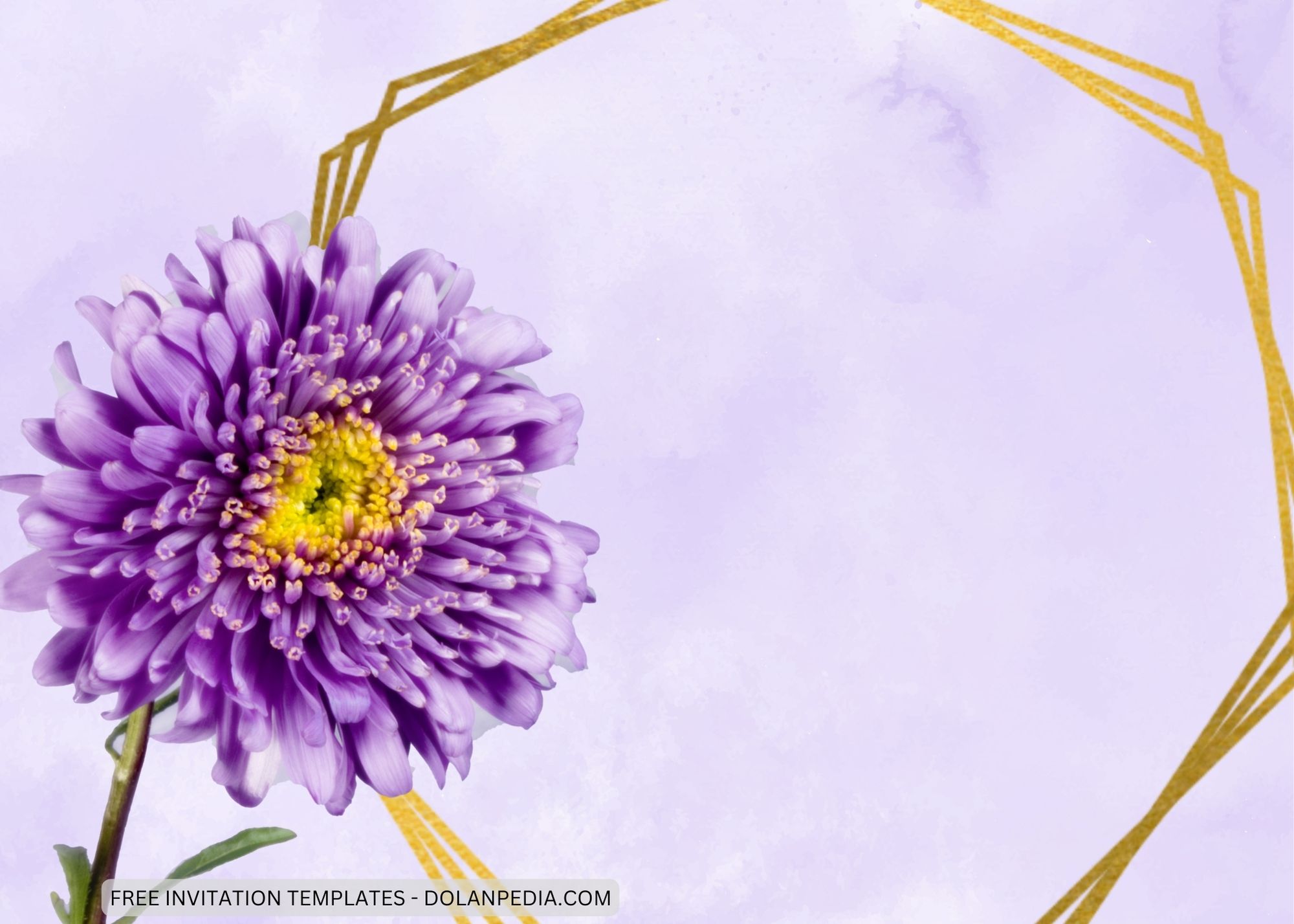 Blank Purple Chrysantemum Baby Shower Invitation Templates One