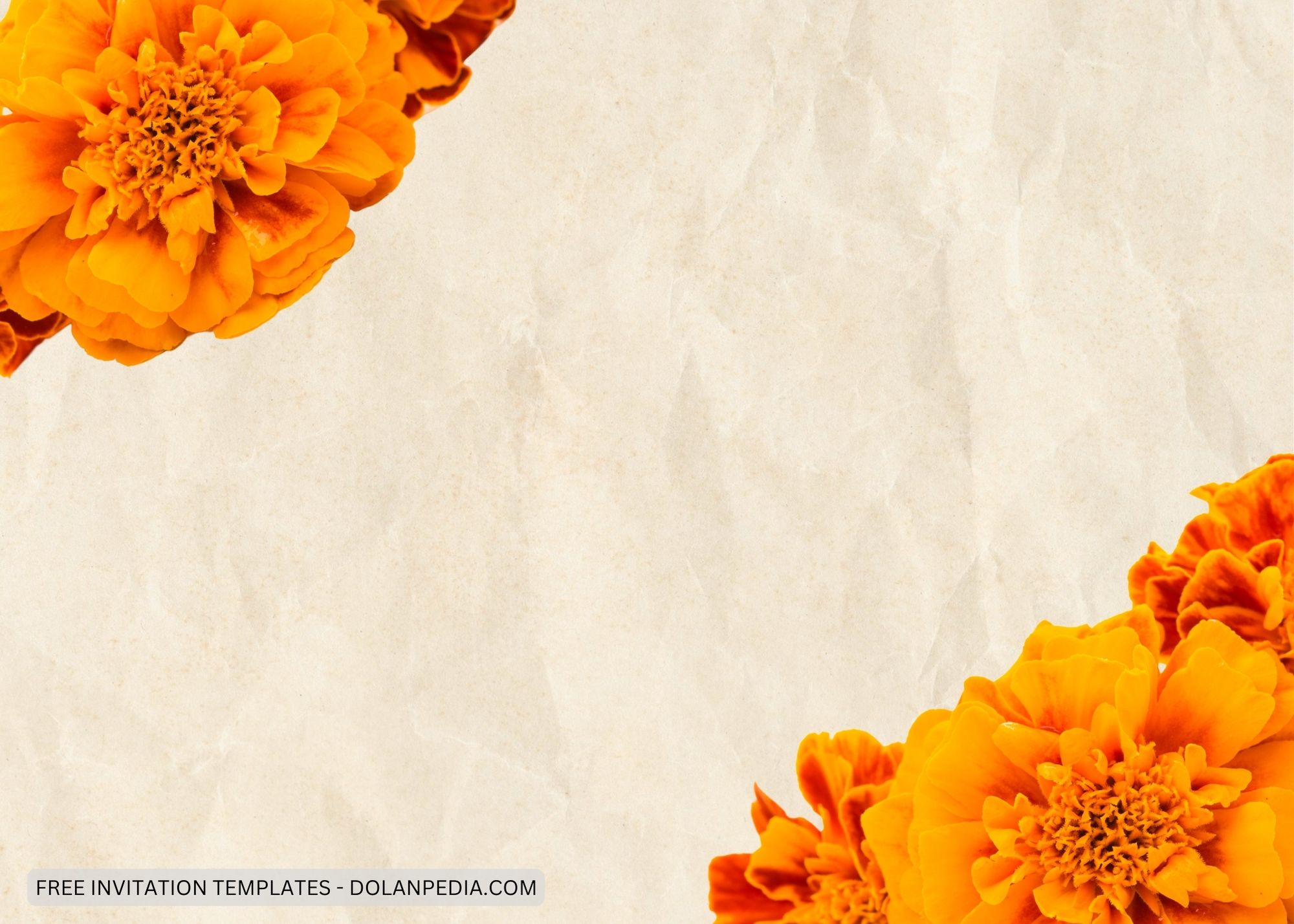 Blank Vintage Orange Marigold Baby Shower Invitation Templates Six