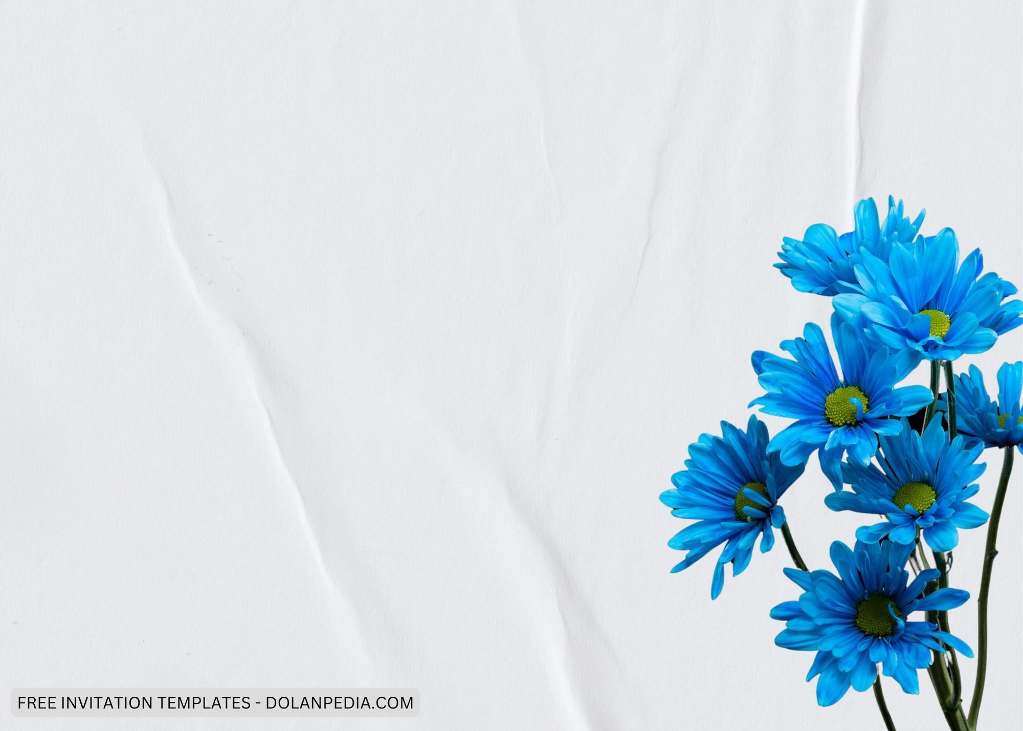 Blank Bright Blue Daisy Baby Shower Invitation Templates Six