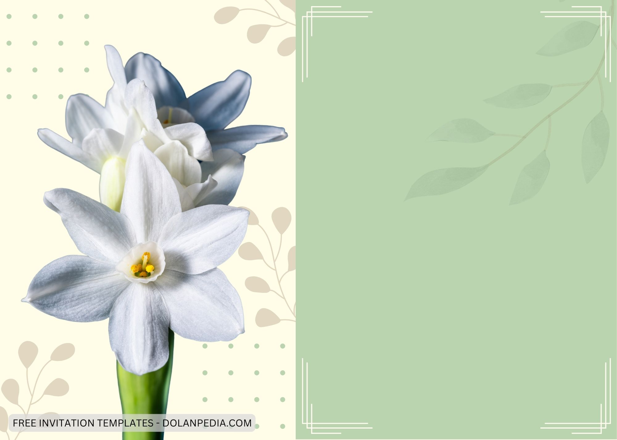 Blank Simple Daffodils Baby Shower Invitation Templates Three