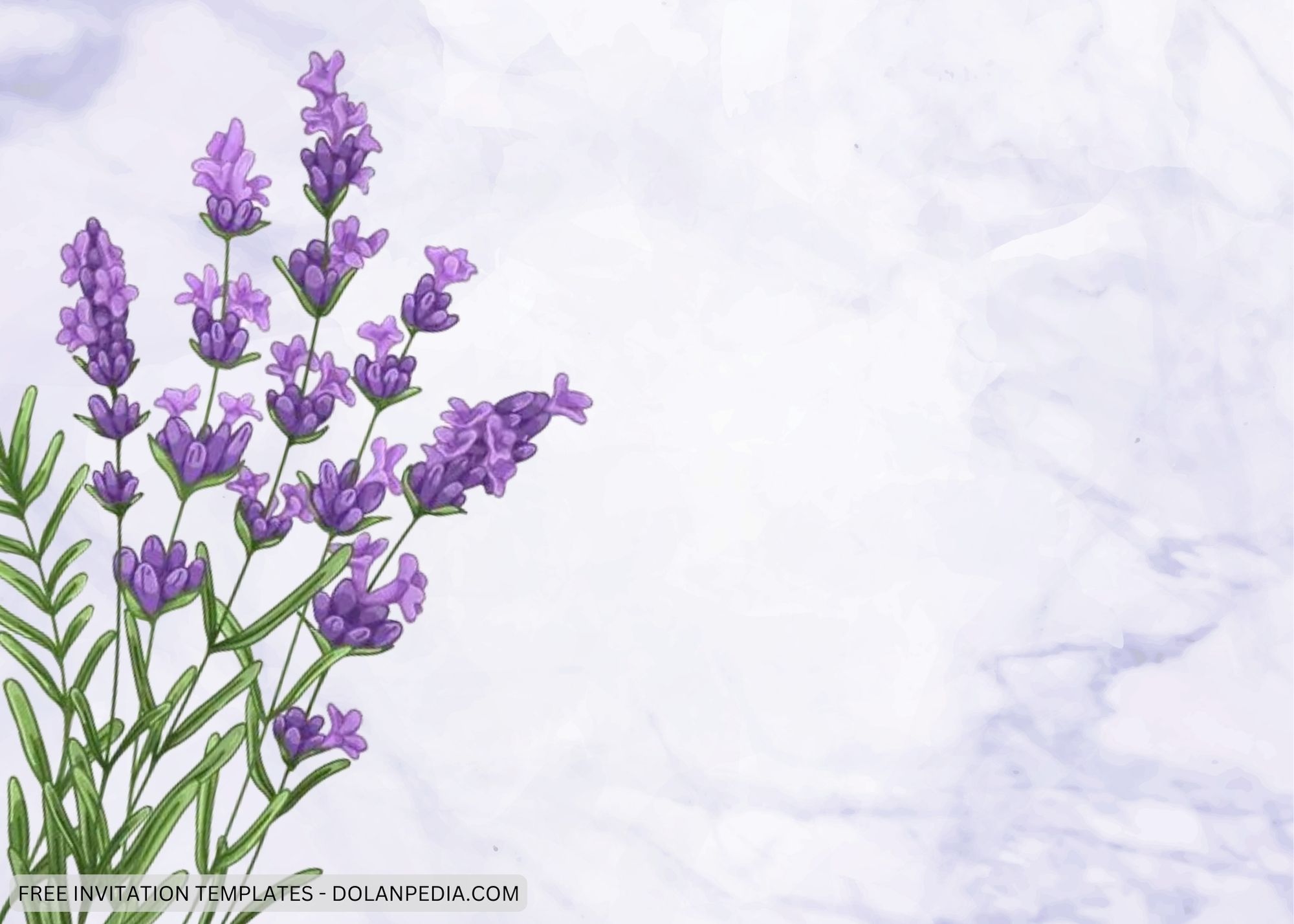 Blank Simple Purple Lavender Baby Shower Invitation Templates One